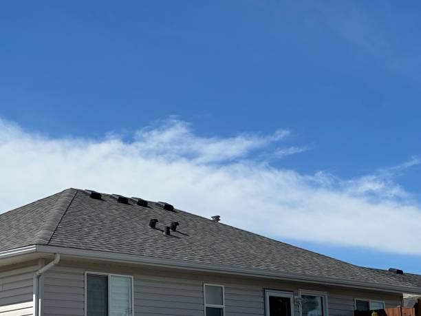 Professional Roofing Services in Franklin, GA